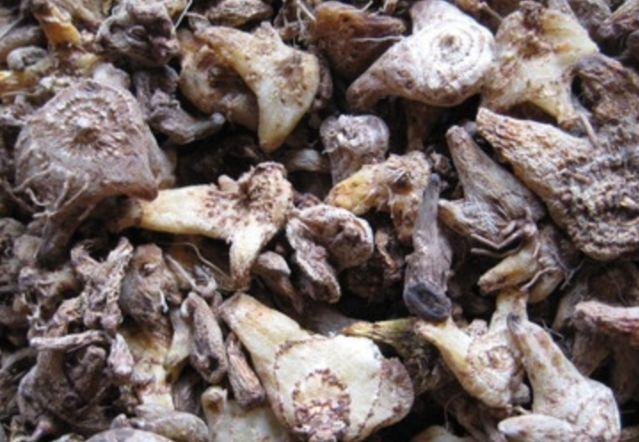 农村里常见的农作物, 一斤可卖300元, 农民称它为摇钱树