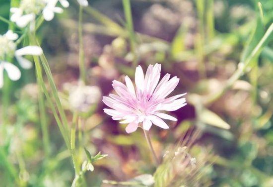 人生没有方向时, 请看这十句话!