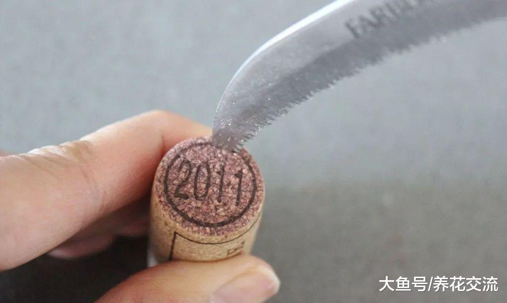 废弃的红酒瓶软木塞直接扔了? 花友把它捡回来, DIY精致的盆栽