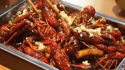 春节假期最全总结, 哈哈哈哈哈哈哈哈哈哈哈哈哈哈哈哈