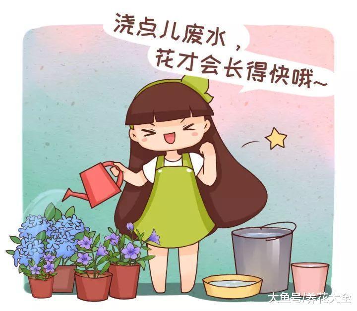 给花浇点废水, 不用施肥也呼呼长, 现在才知道!