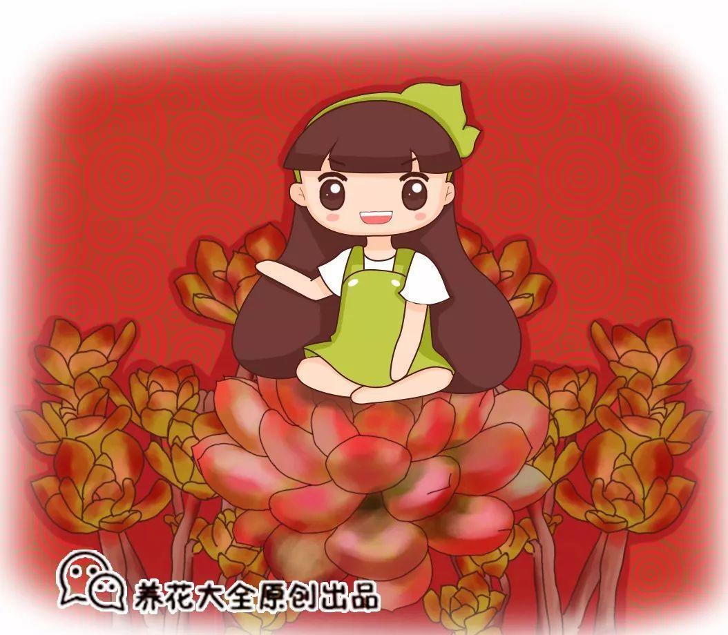 这7种红色多肉, 让你红红火火过新年