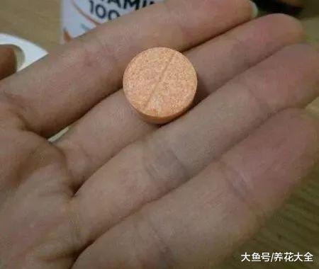浇水时这么干, 轻松让花长得更茂盛