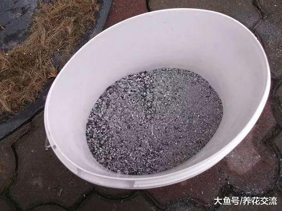 新年在家里用骨头制作骨粉、骨肥茶, 再也不怕花卉不能开花