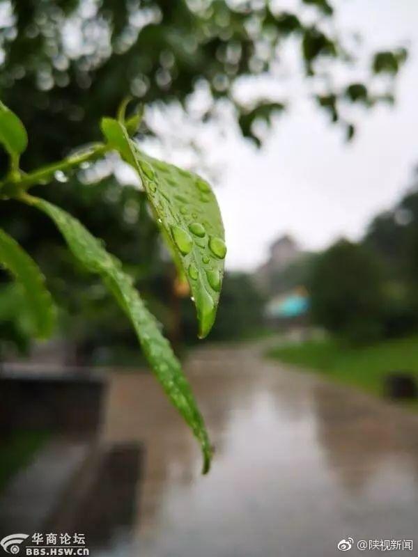 最陕西| 西安被盗抢的丢失车: 交警套牌后自己