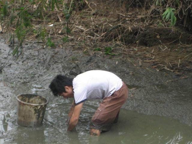 农村小伙不钓鱼却下塘抓鱼, 才花了半小时, 洗衣盆都快装不下