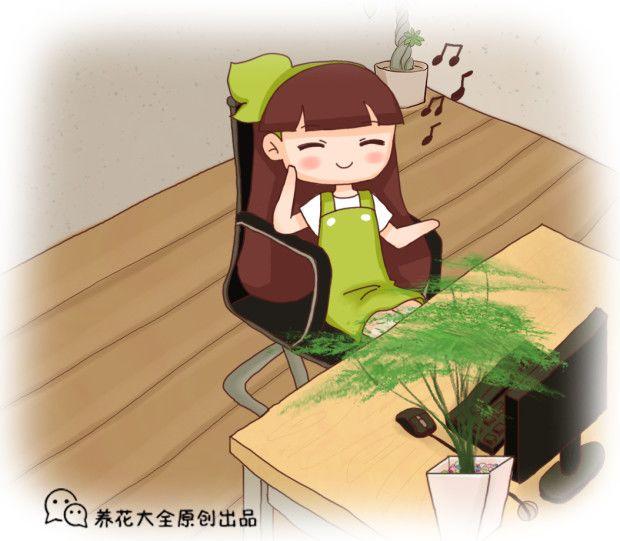 办公桌上摆这盆花, 工作顺利事业旺, 身体健康人气旺!