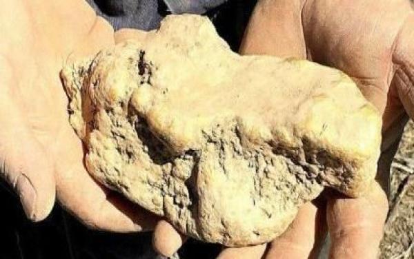 大叔上山放羊, 捡到几块石头带回家, 大雨过后手发抖