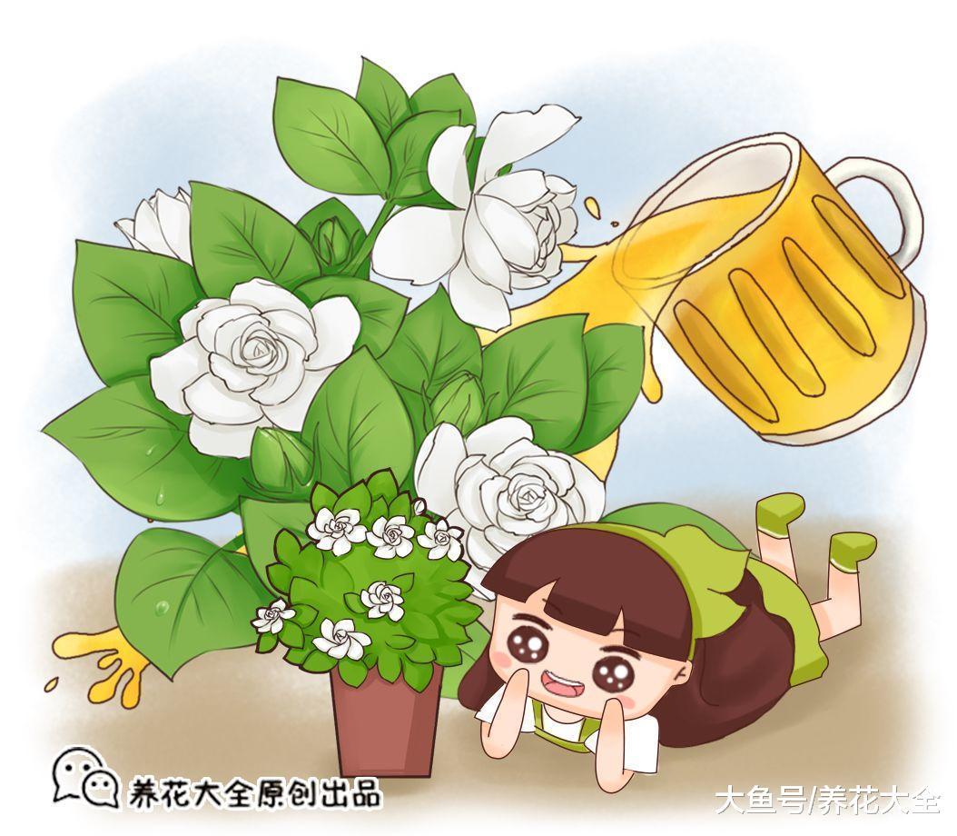 家里不用的废品自制养花土, 肥力十足