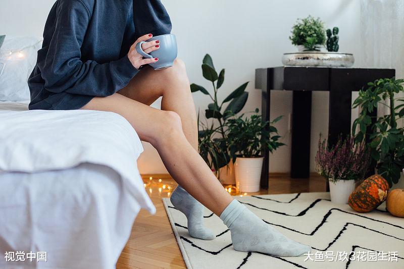 植物之间还可以相互的交流你知道吗?