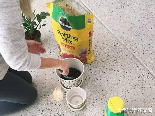 在桌面上养个简单的DIY盆栽植物, 让你的办公桌焕然一新