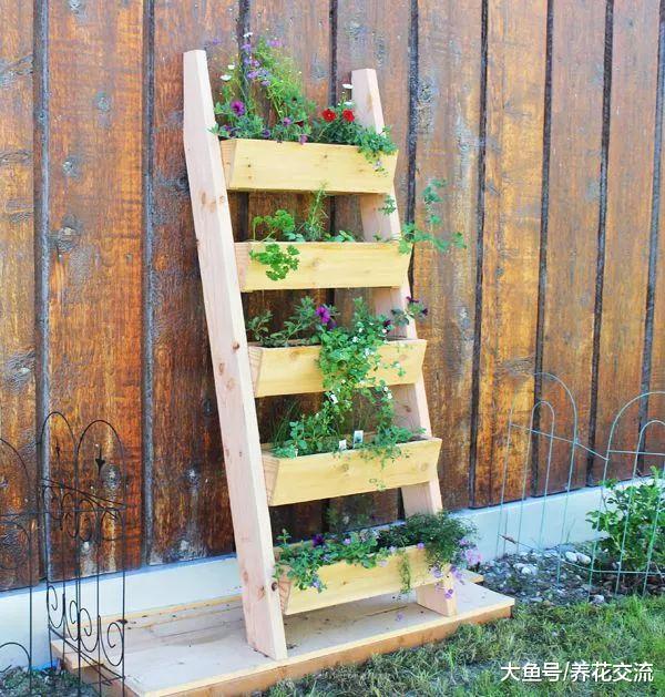 10个家庭养花创意, 将花卉植物种在墙上, 没有空间也能养出花园