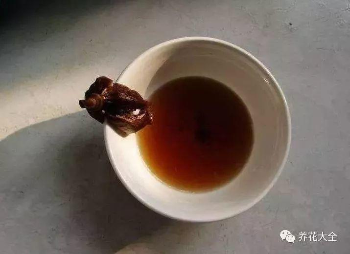 拿烟来养花, 不生一只虫, 花还呼呼长, 效果贼好!