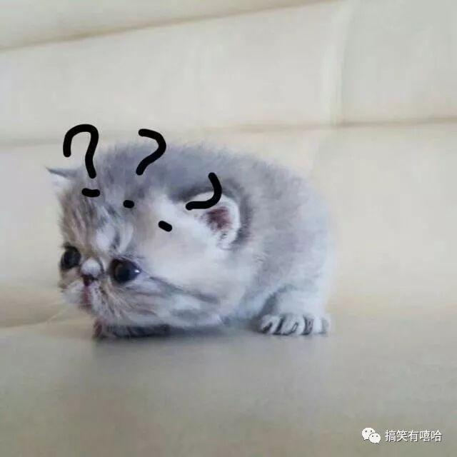撩妹经典套路对话, 都是直接来电套路的