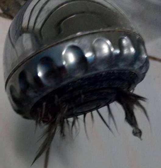 女学生回宿舍洗澡, 抬头仔细看后不高兴了