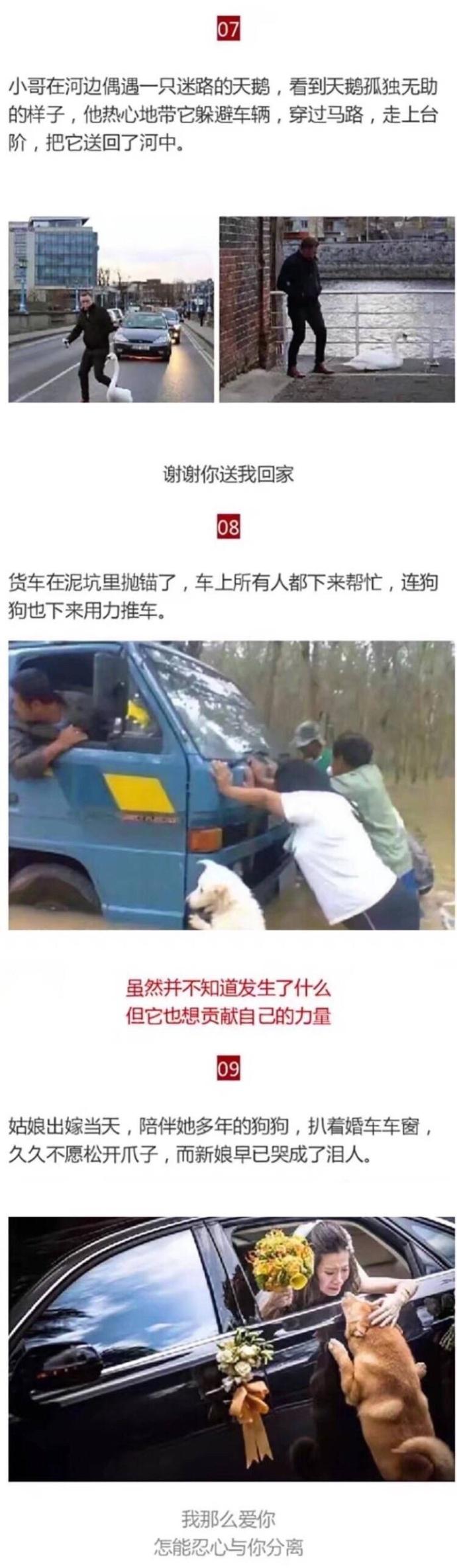 不管多么绝望, 都不要放弃, 因为那些帮助你的人, 一直都在竭尽全力