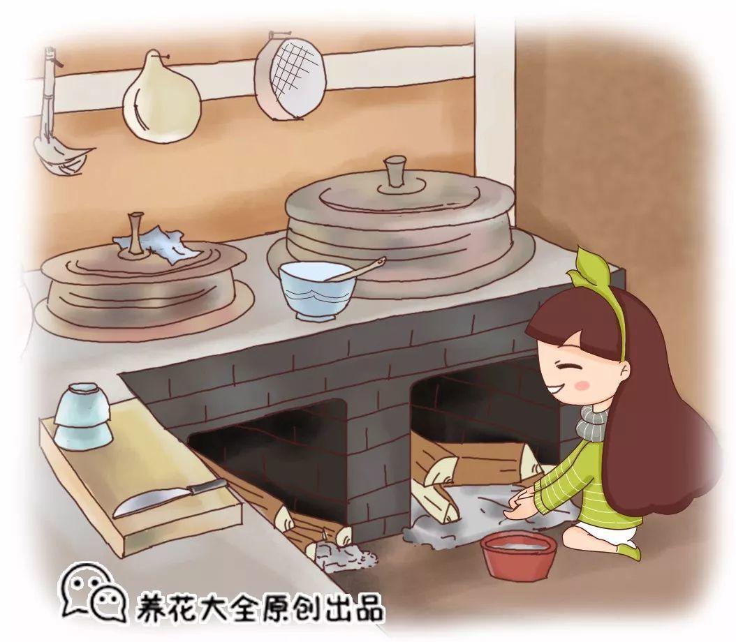 这种超能肥, 农村才有, 给花吃一点, 疯长不停
