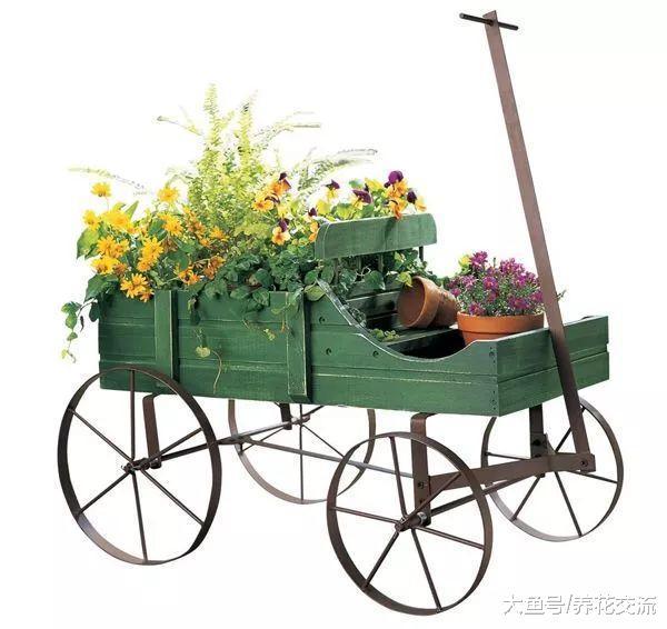 看到就想买的14个花盆, 用这些容器养花事半功倍, 让花友刮目相看