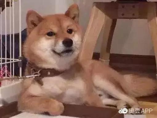 分享史上最全“撩妹套路”, 撩你我是认真的!