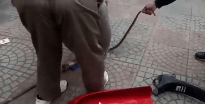 男子的摩托车总是发出声音, 打开之后男子是什么表情