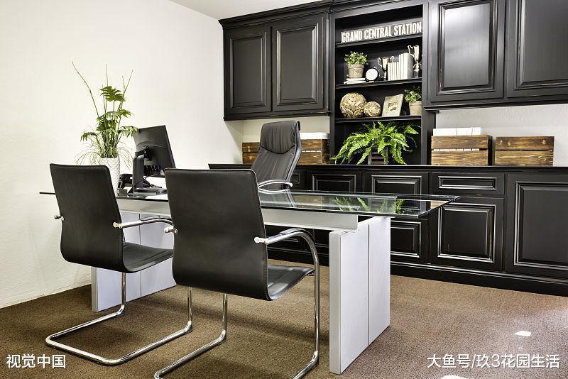 聊一聊独立办公室中的植物风水