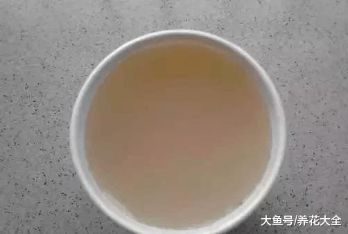 柳树枝, 松树皮都是养花的好材料, 盆底一放花嗷嗷长!