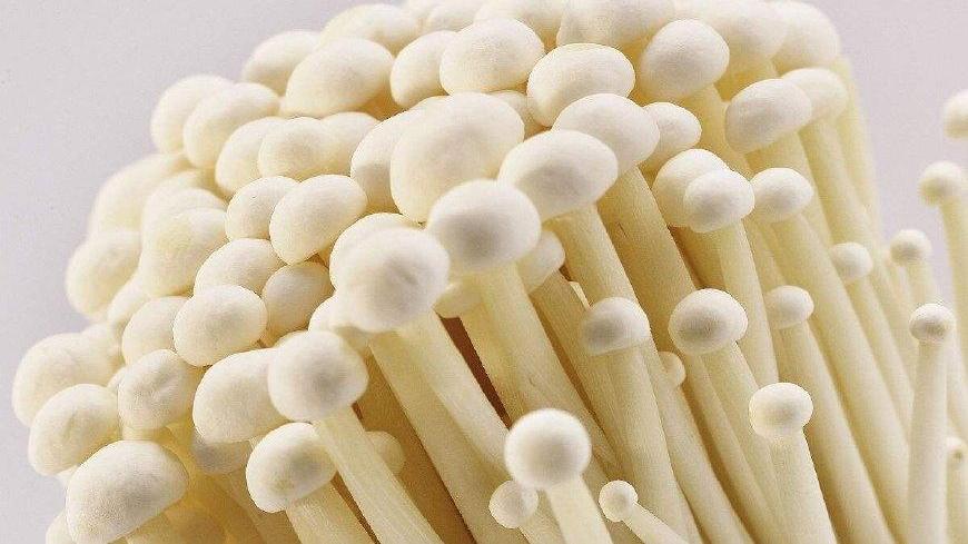 唯一不打农药的蔬菜, 孩子吃了促进大脑发育