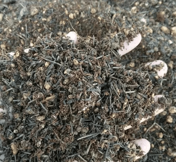 教你几招让多肉起死回生, 冻伤烂根招虫统统都不见!