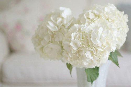 微信里人生感悟的好句子, 句句惊醒梦中人!