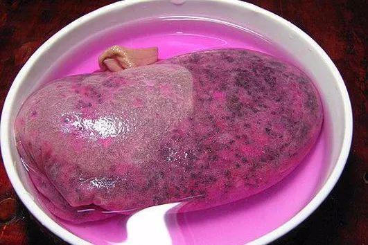 1粒水果籽儿泡水里, 长成最美小盆栽