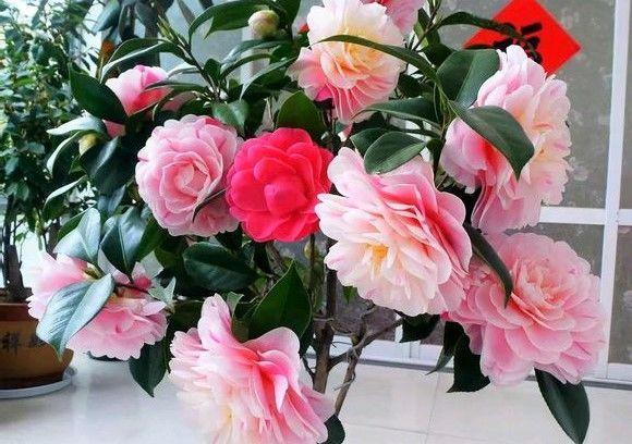 人是气死的, 花是浇死的, 你还不快住手? !