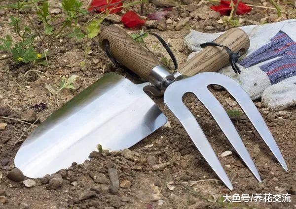 过期的牛奶用来养花的8个作用, 杀菌除虫, 还能做肥料