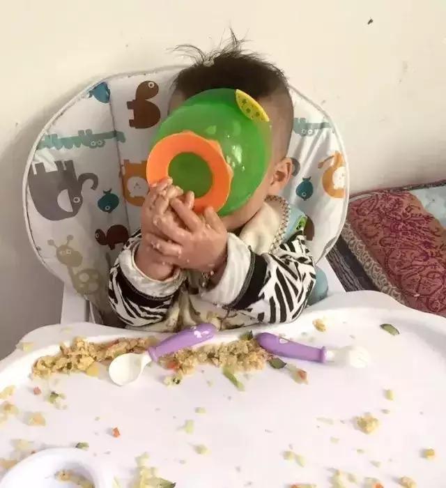 想通过养蛙体验养娃的感觉? 太天真了, 养蛙连新手教学都算不上
