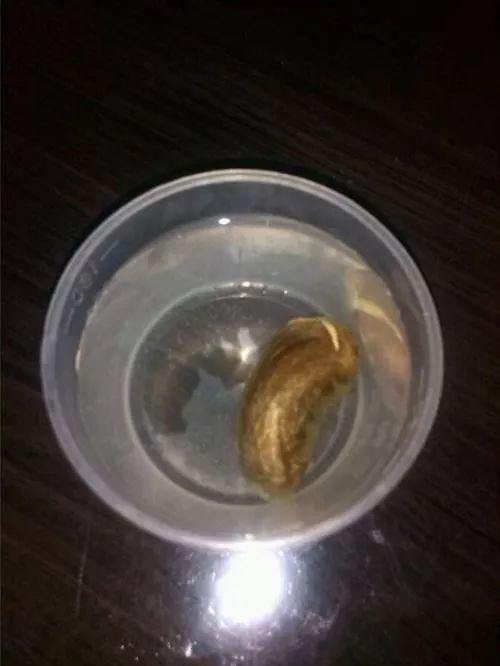 吃剩下的芒果核千万别丢, 用处可大着呢!