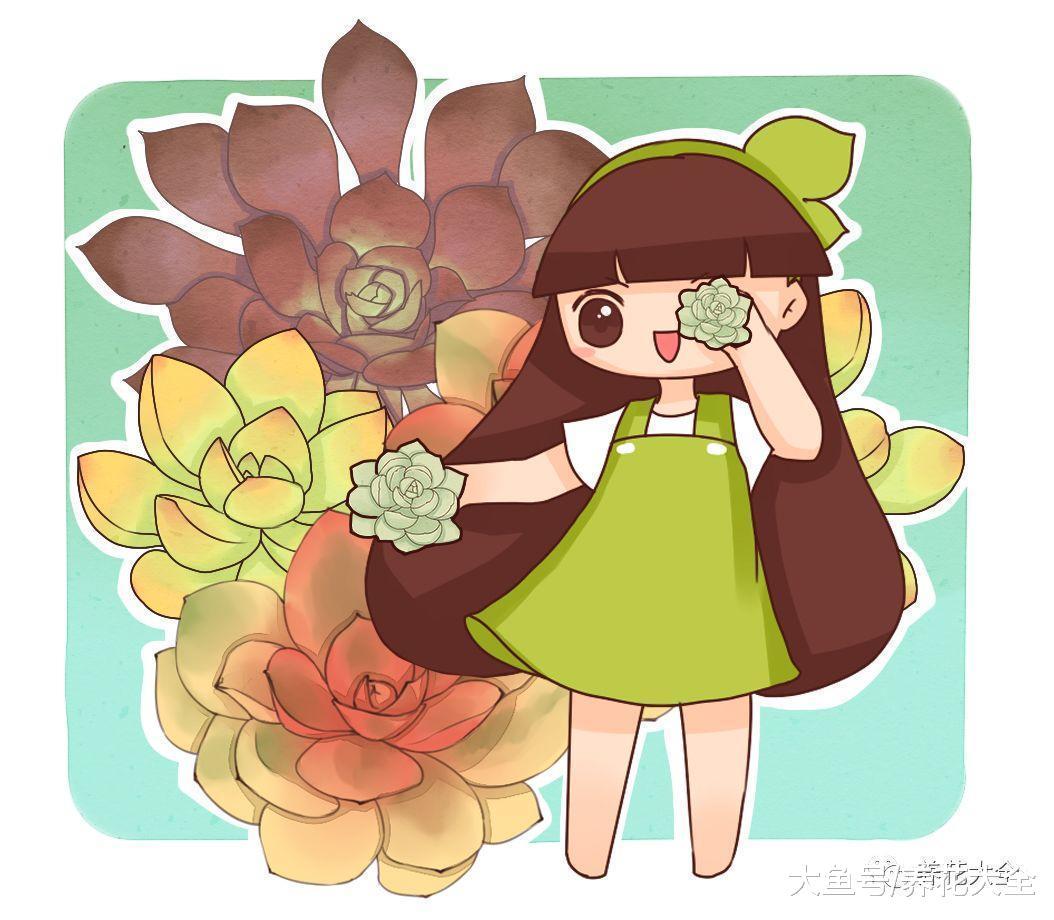 一百万个多肉里, 才出这么一个奇葩, 开眼了!