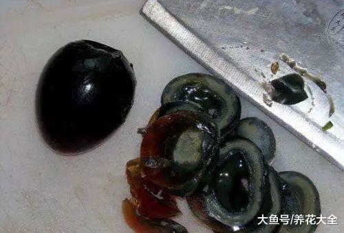 豆腐松花蛋一切就粘刀, 刀上加根牙签全解决