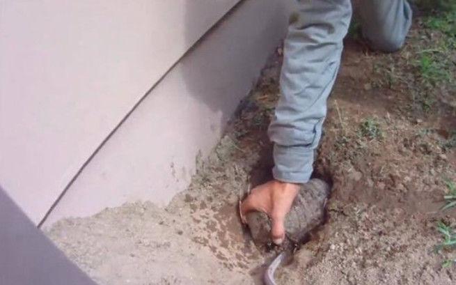 男子后院多出一个地洞, 往里灌水后, 跑出来了