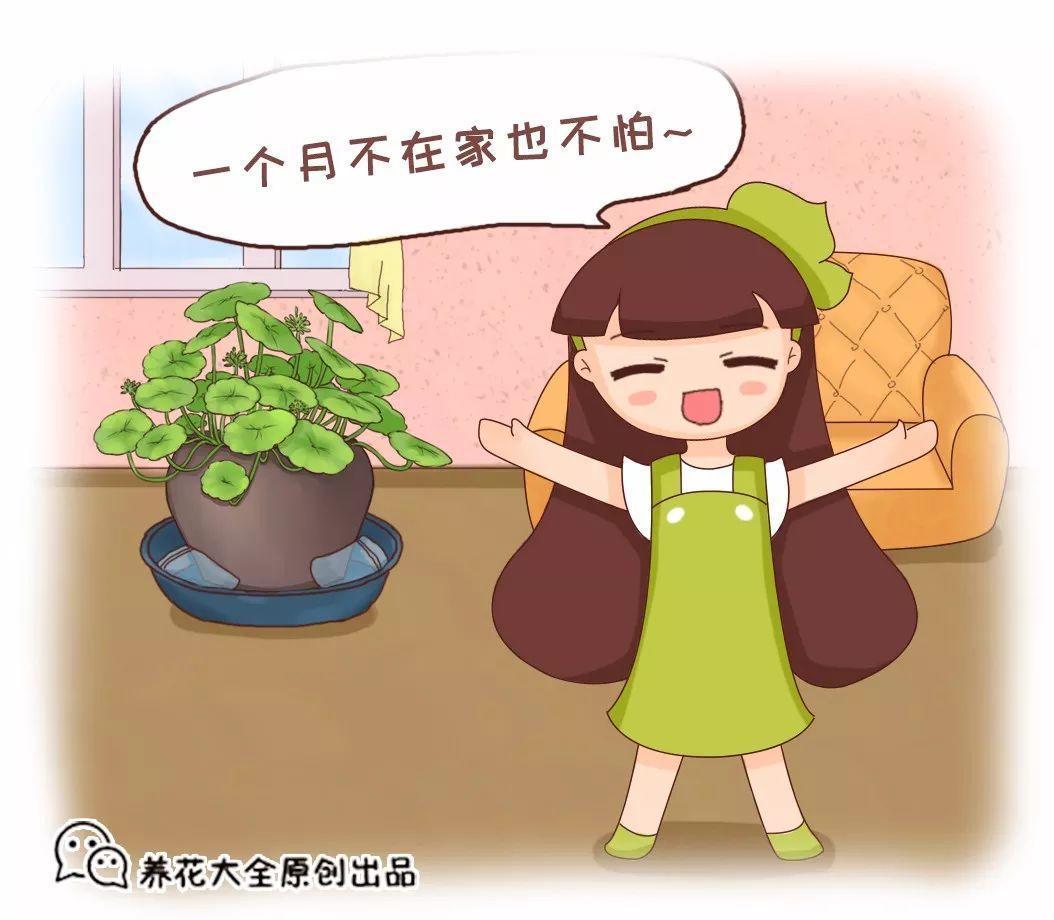 赶紧学会! 传承50年的养花绝招
