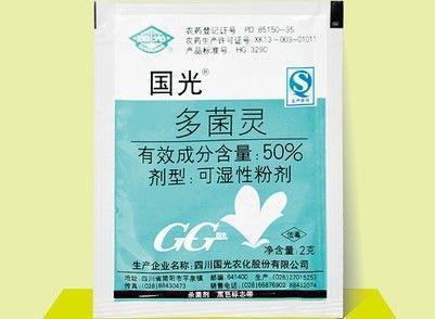 绿萝、富贵竹, 拿卫生纸一裹, 呼呼冒根, 大雪天长爆盆!