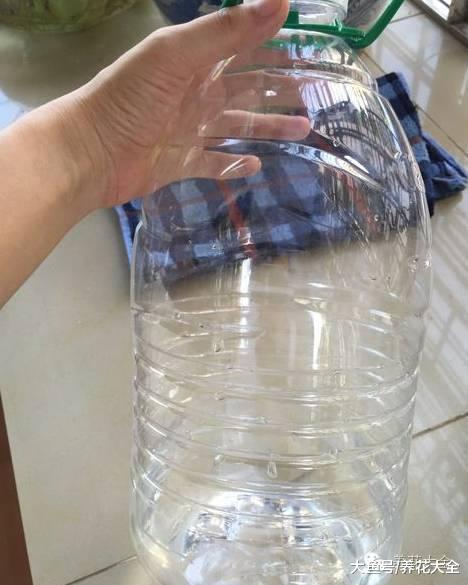 养花就用这种土, 不花钱, 还肥的流油, 养花蹭蹭长!