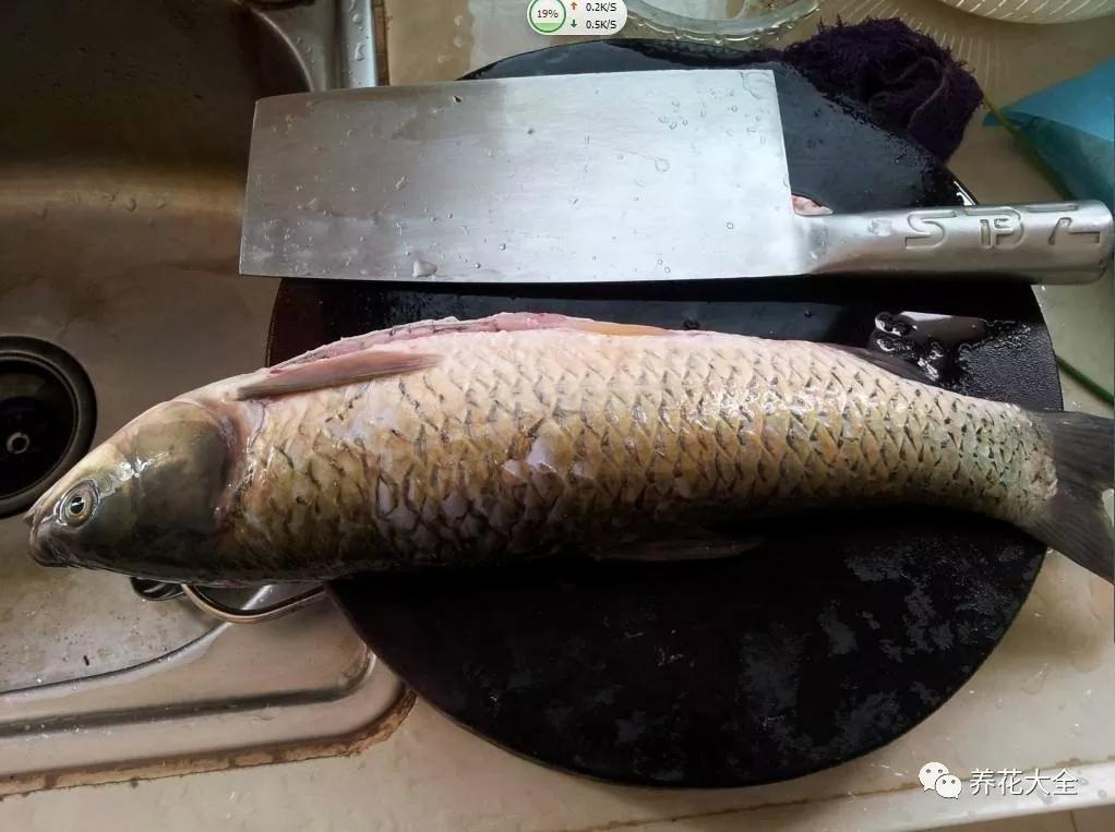 猪肉这么洗, 泡出这么多脏东西