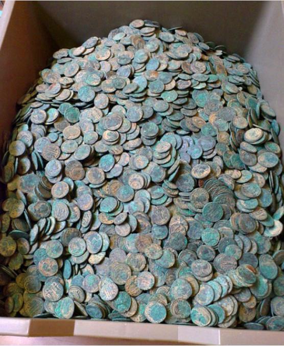 男子在自己后院挖出小型棺材, 专家的话让他欣喜不已