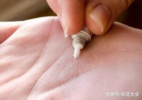 养花烂根别怕, 抹点它, 立马活过来, 蹭蹭蹭爆盆!