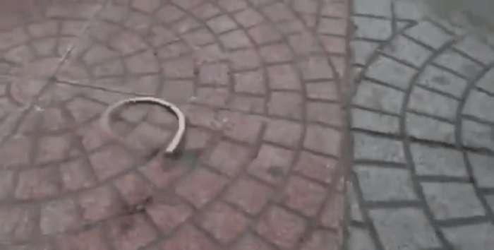 男子的摩托车总是发出声音, 打开之后男子是什么表情