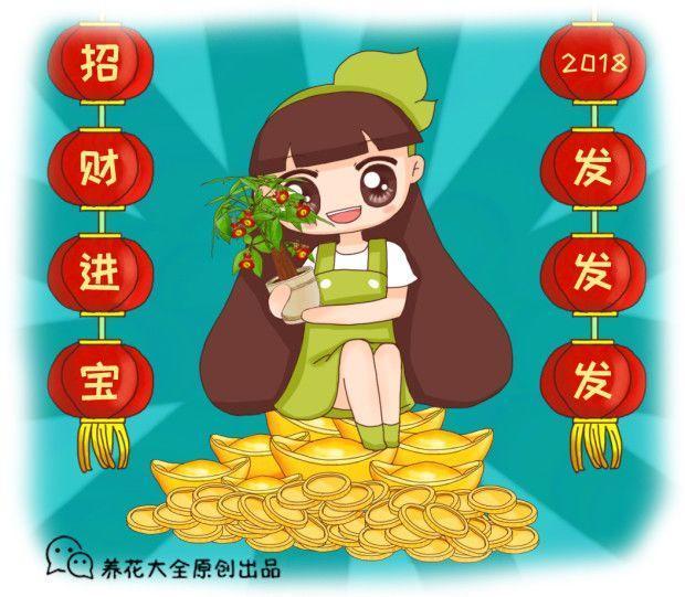 现在养盆招财花, 2018年发发发, 财运福气挡不住!