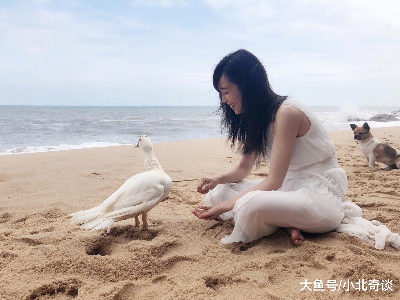 女神张静初不仅是一位演员还是一