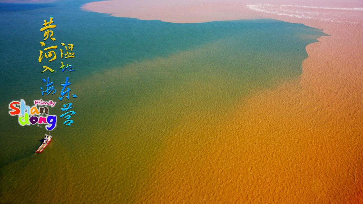 山东十大文化旅游目的地--黄河入海、湿地东营10张新名片