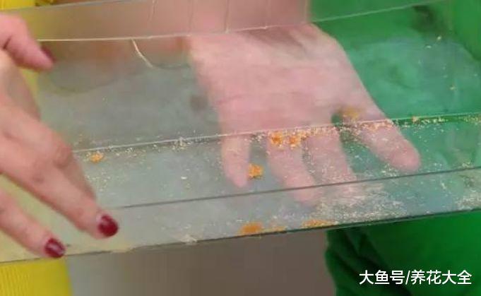 1招快速清洗冰箱, 没异味囤货多, 使用寿命延长一倍