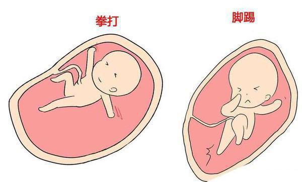 胎宝在孕妈肚里做什么? 这4件事真的很可爱, 别忘与胎宝互动