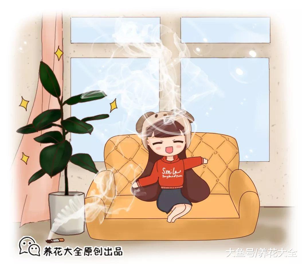 过年不吸二手烟! 摆盆这个, 让你摆脱尼古丁困扰